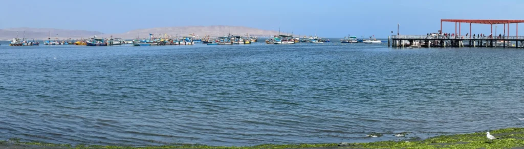Paracas Peru coastal desert cliffs and ocean near Ballestas Islands