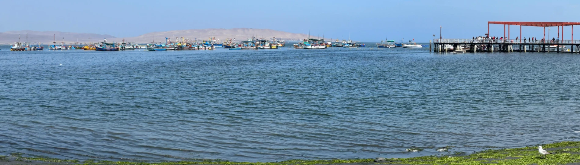 Paracas Peru coastal desert cliffs and ocean near Ballestas Islands