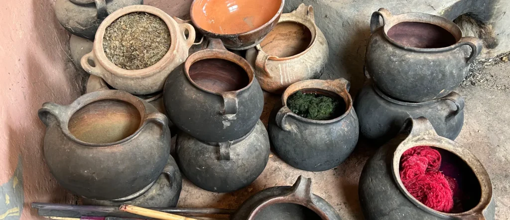 natural dyeing Peru using plants and cochineal insect for Andean textile colors