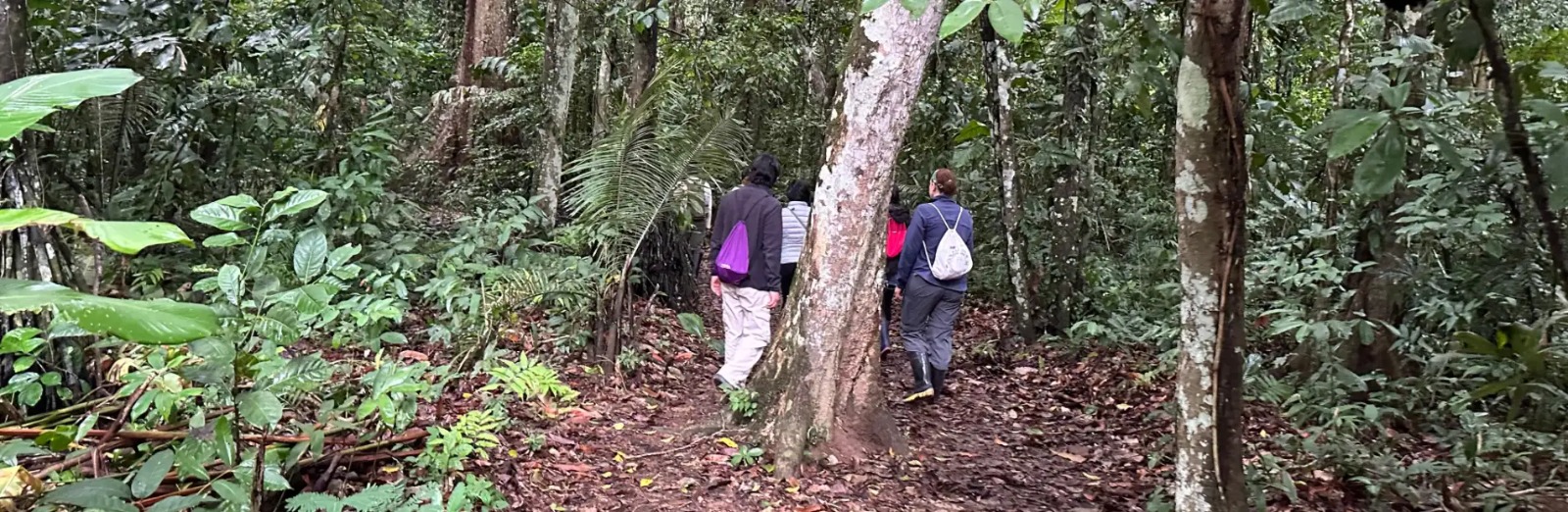 Amazon myths and folklore in the Peruvian Amazon