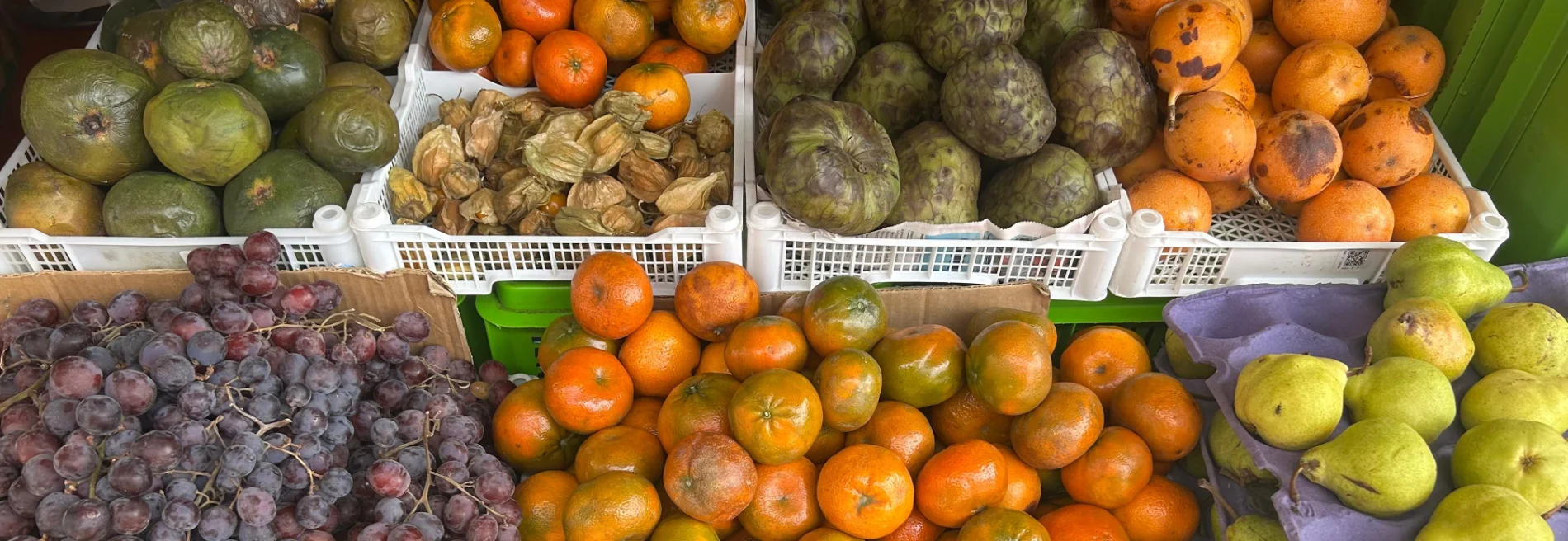 Exotic fruits of Peru